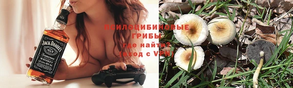 дмт Баксан