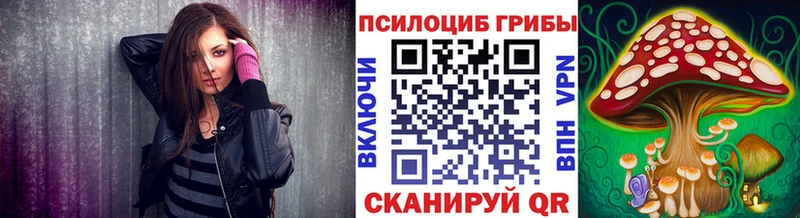 купить наркотик Котовск Псилоцибиновые грибы прущие грибы